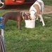 Ryan Salyers - Facebook