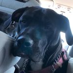 Ryan Sams - @ryansams5 - Instagram