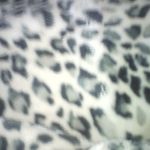 Ryan Samuelson - @ryan.__.13 - Instagram