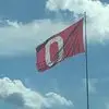 ryansartor - @ryan.sartor5 - TikTok