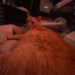 Ryan Satterlund - @ryansatterlund09 - Instagram