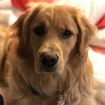 Charlie Ryan Sauer - @charlieryansauer - Instagram
