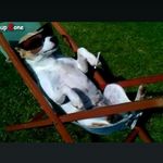 ryan sauter - @sauter_ryan - Instagram