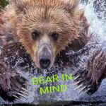 Ryan Sauter - @sauter8973 - Instagram