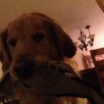 Ryan Sauter - @rsauter24 - Instagram