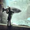 Ryan Scalf132 - @rjslifeaquatic - TikTok