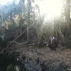 Ryan Scanlan561 - @ryansbigbad - TikTok