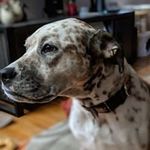 Ryan Scanlan - @xenius_1019637 - Instagram