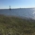 Ryan Schaffer - @ryanfishing._5 - Instagram