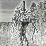 Ryan Scharf - @scharf_mt - Instagram