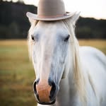 Ryan Scheer - @ryanscheer - Instagram