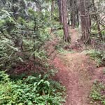 Ryan Schneeberger - @biggeyschneebs - Instagram
