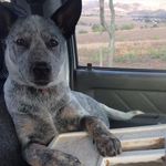 Ryan Scholl - @scholl8837 - Instagram