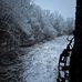 Ryan Scholl - Facebook