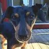 Ryan Schoonaker - @ryan.schoonaker - TikTok