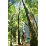 Ryan Schreck - @saintryan - Instagram