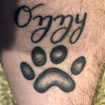 Ryan Schreck - @ryansozzy - Instagram