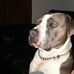 Ryan Schroeder - Facebook