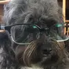 Ryan Schultz - @ryan.schultz65 - TikTok