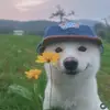 Ryan Scott - @ryan.scott9 - TikTok