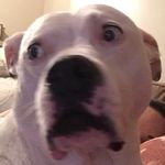Ryan Scranton - @ryanscranton - Instagram