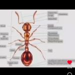 Ryan - @ryan_scurlock55 - Instagram