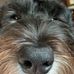 Ryan Scurlock - Facebook