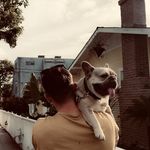 Ryan seale - @ryan.seale - Instagram