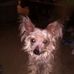 Ryan Seale - Facebook