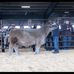 Ryan Stockinger - Facebook