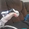 ryanseckinger - @ryanseckinger - TikTok