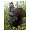 Ryan Sedgwick745 - @sedge1978 - TikTok