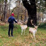 Ryan Sedgwick - @sedgwick3771 - Instagram