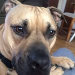 Ryan Sedgwick - Facebook
