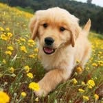 Ryan See - @ryansee0623 - Instagram