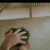Rian Seibel - @riann1020 - TikTok