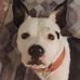 Ryan Seibert - Facebook