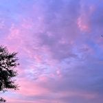 Ryan Selby - @sleepypotato94 - Instagram