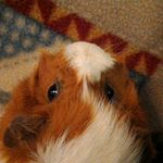 Ryan Sellars - @sellars.ryan - Instagram
