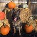 Ryan Sepanski - Facebook