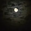 Ryan shade - @ryan.shade5 - TikTok