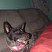 Ryan Sharp - Facebook
