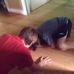Ryan Shear - Facebook