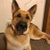 Ryan Sheffer - Facebook