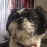 Ryan Shields - @ryanshields__ - Instagram