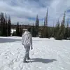 Ryan Shields - @ryanshields33_ - TikTok