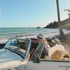 Ryan Shields - @r.shields88 - TikTok
