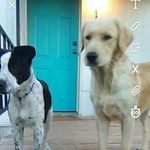 Ryan lynn shockey - @ryanlynnshockey - Instagram