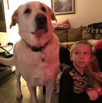 Ryan Shockey - Facebook