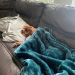 Ryan - @ryanshoff328 - Instagram